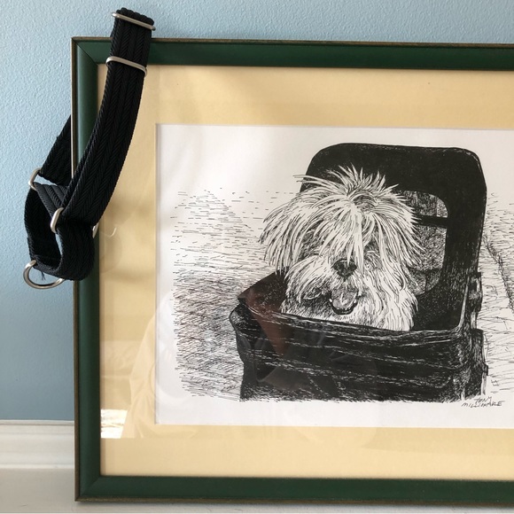 Black Martingale Dog Collar - Picture 1 of 6